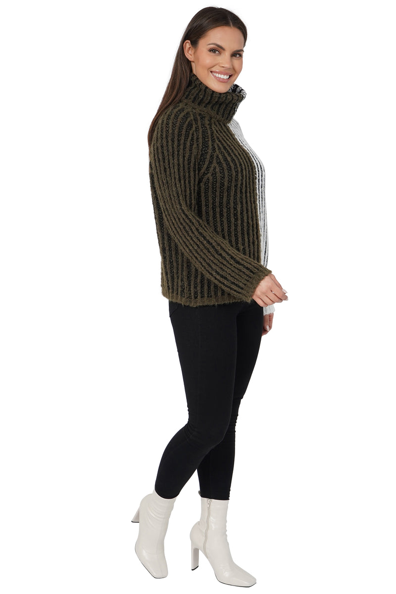 Aubrie Turtleneck Sweater-2